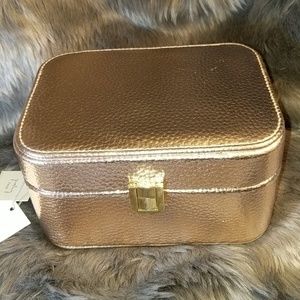 A New Day Jewelry Case Rose Gold